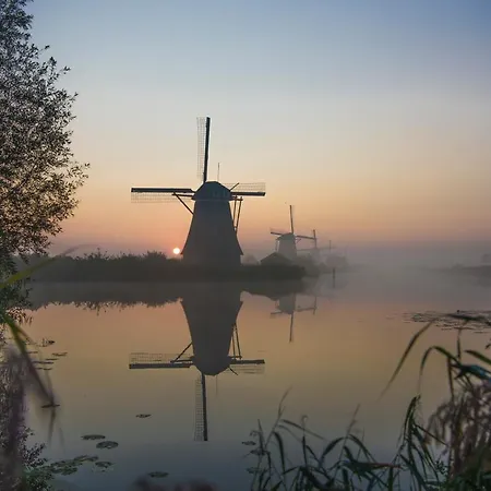 B & B Meet The Dutch-3